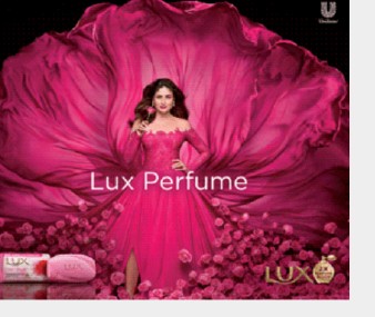 Reference Demo Perfume